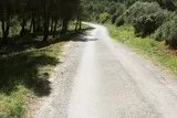Fabrègues Gardiole saint Baudile