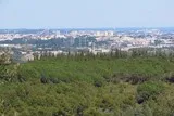 Fabrègues Gardiole saint Baudile