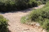 Jacou-Lac-du-Crès