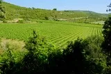 Guzargues crête Jambert