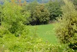 Pignan vers abbaye de Vignogoul