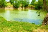Cournonsec mare des Pradinaux