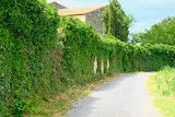 Fabrègues Cournonsec Pradinaux