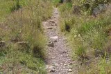 Pignan chemin du Salinié
