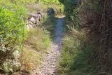 Pignan chemin du Salinié