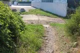 Pignan chemin du Salinié