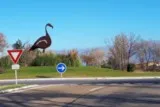 Aigues Mortes Vidourle