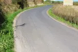 Saussan