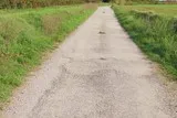 DSaussan