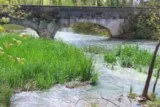 Source du Lez St-Clément-de-Rivière
