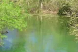 Source du Lez St-Clément-de-Rivière