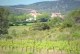 Favas St Bauzille de Montmel