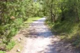 Sentier de la Fontanaride à Teyran
