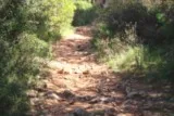 Sentier de la Fontanaride à Teyran
