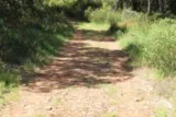 Sentier de la Fontanaride à Teyran