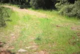 Sentier de la Fontanaride à Teyran