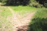 Sentier de la Fontanaride à Teyran