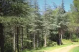 Sentier de la Fontanaride à Teyran