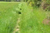 Buzignargues