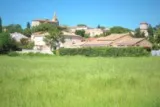 Vérargues vignes muscat