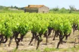 Aigues-Mortes