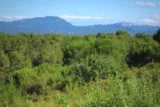 Clapiers Massif Baillarguet