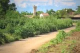 Saint Just chateau Lunel Viel