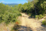 Garrigues Bois de Paris